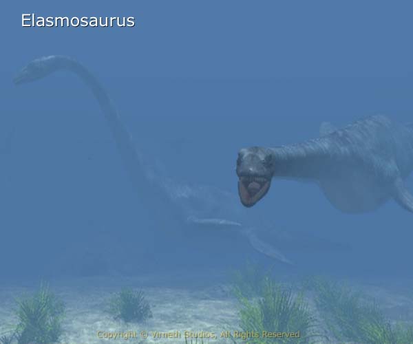 Elasmosaurus underwater - a marine reptile not a dinosaur