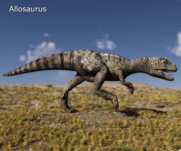 Allosaurus - The King of the Jurassic Period